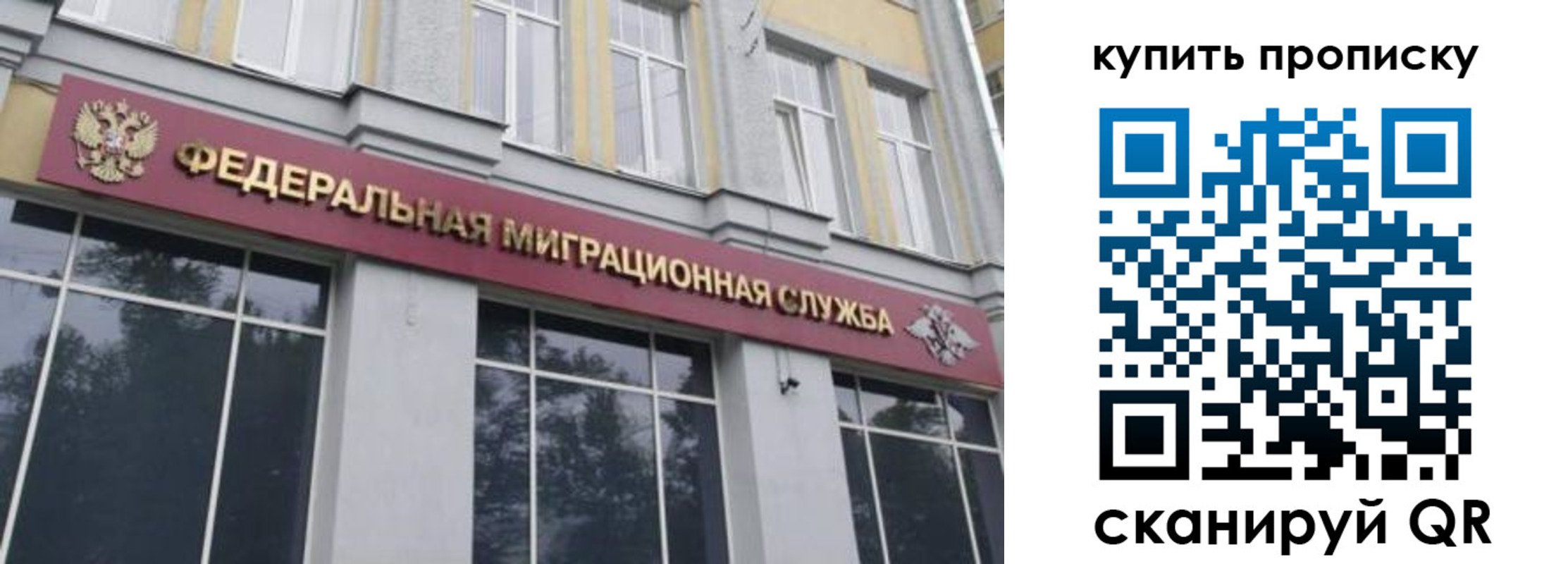 прописка поиск в Можайске